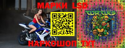 МДПВ Будённовск