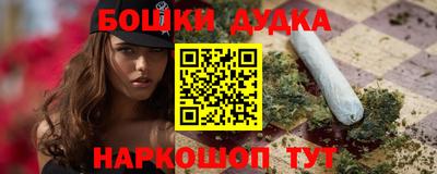 МДПВ Будённовск