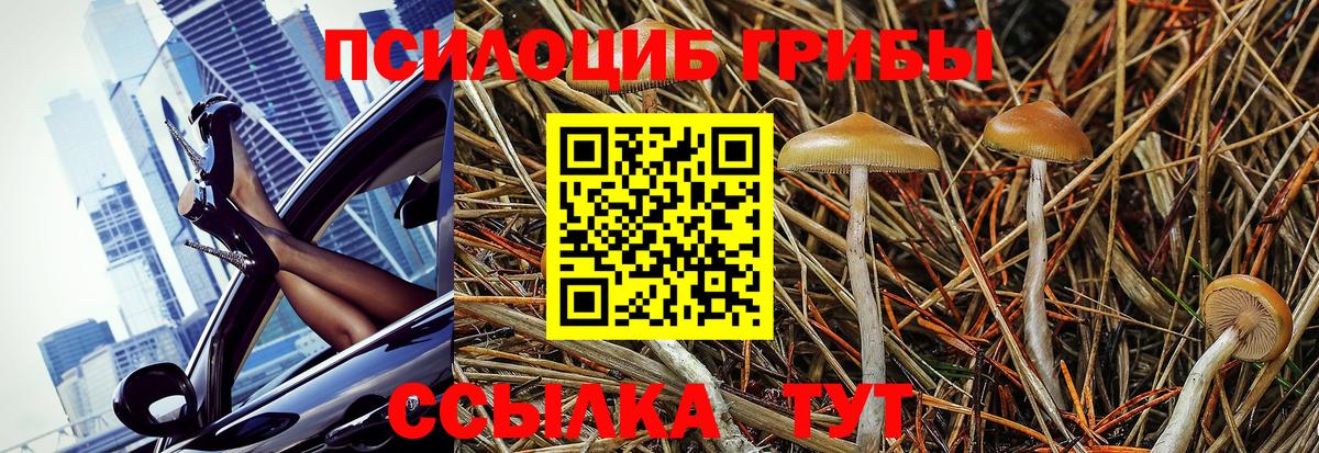 Галлюциногенные грибы MAGIC MUSHROOMS Петровск
